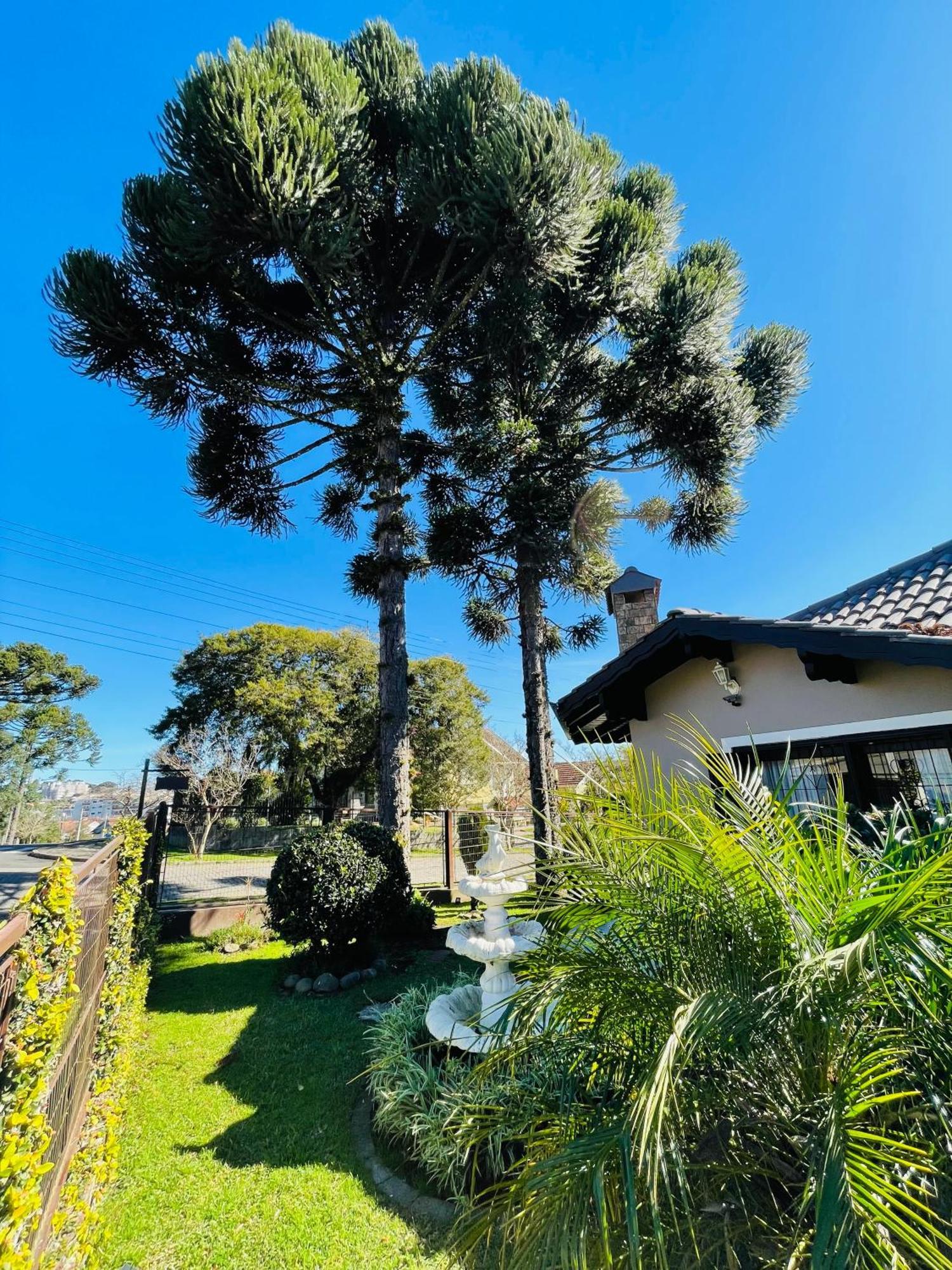 Residencial Pine House Hotel Canela Exterior photo